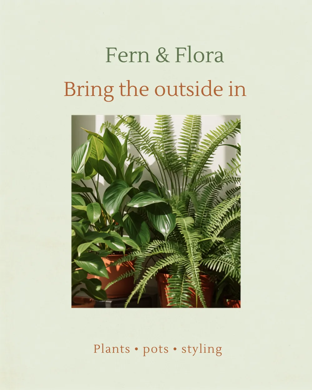 Healthy houseplants in terracotta pots at Fern & Flora